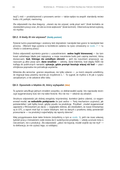Rozmowa rekrutacyjna w czasach AI  - Ebook PDF do rozmów rekrutacyjnych